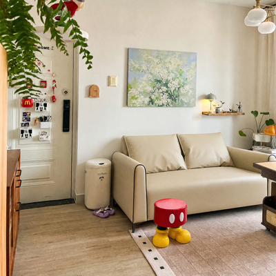 Apartment Small Sofa-YGGYF006 view 3