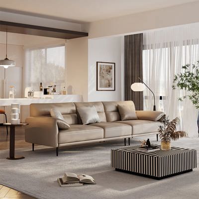 Minimalist Leather Sofa view 1