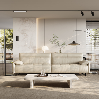 Minimalist Genuine Leather Sofa view 2